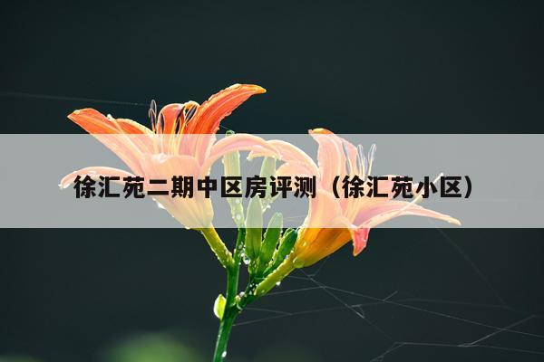 徐汇苑二期中区房评测（徐汇苑小区）