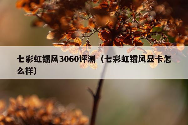 七彩虹镭风3060评测（七彩虹镭风显卡怎么样）