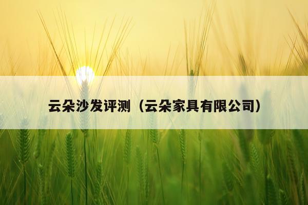 云朵沙发评测（云朵家具有限公司）
