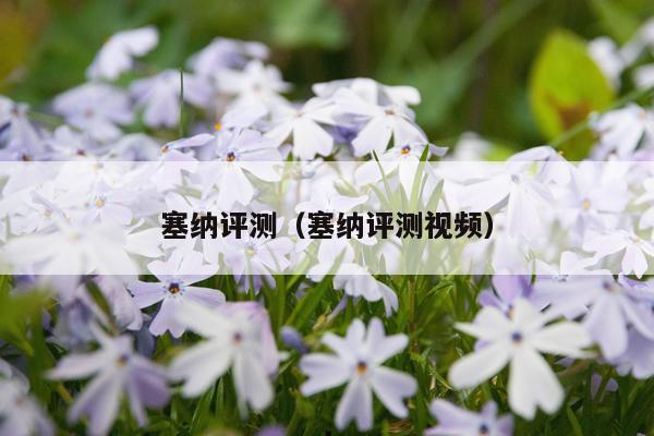 塞纳评测（塞纳评测视频）
