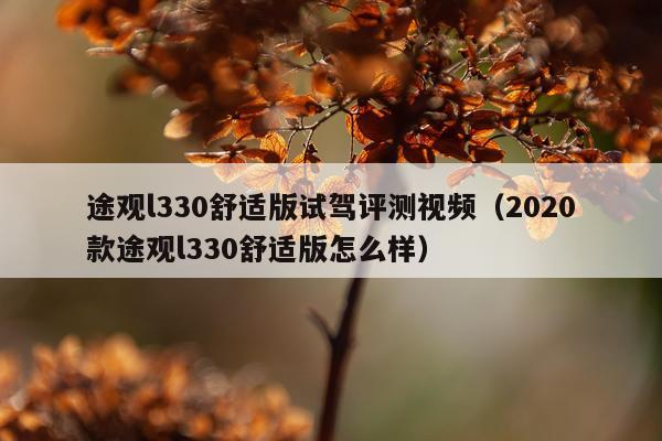途观l330舒适版试驾评测视频（2020款途观l330舒适版怎么样）