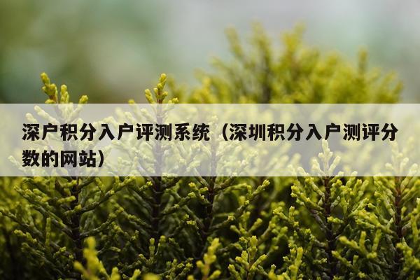 深户积分入户评测系统（深圳积分入户测评分数的网站）