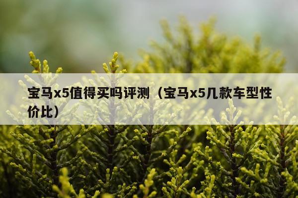 宝马x5值得买吗评测（宝马x5几款车型性价比）