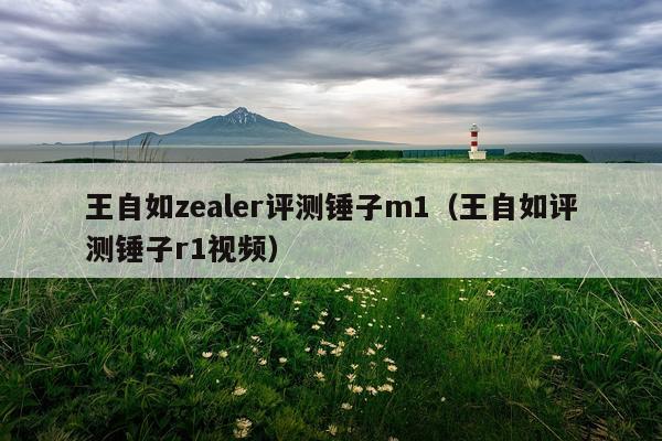 王自如zealer评测锤子m1（王自如评测锤子r1视频）