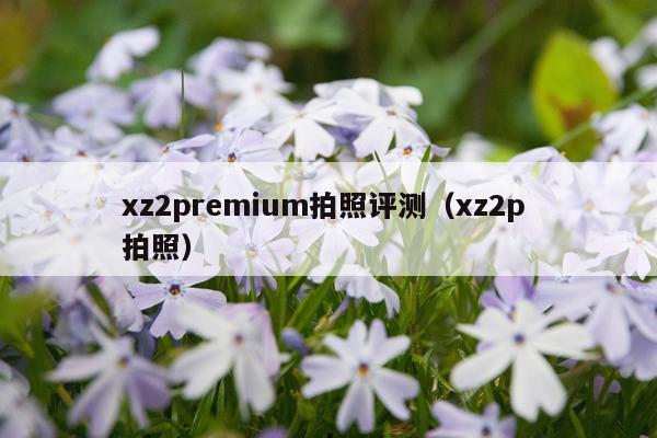 xz2premium拍照评测（xz2p 拍照）