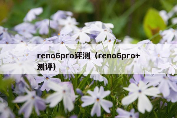 reno6pro评测（reno6pro+测评）