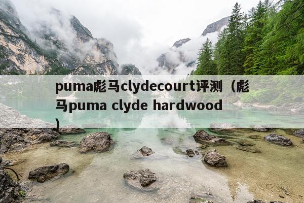 puma彪马clydecourt评测（彪马puma clyde hardwood）