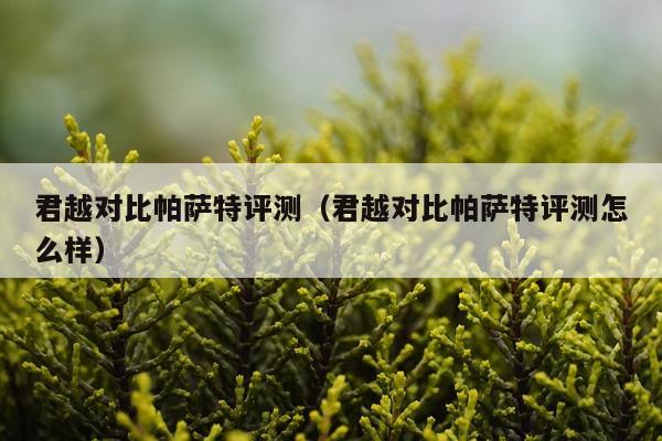 君越对比帕萨特评测（君越对比帕萨特评测怎么样）