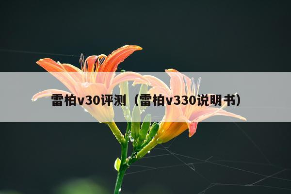 雷柏v30评测（雷柏v330说明书）