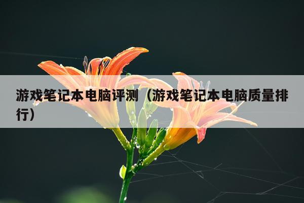 游戏笔记本电脑评测（游戏笔记本电脑质量排行）