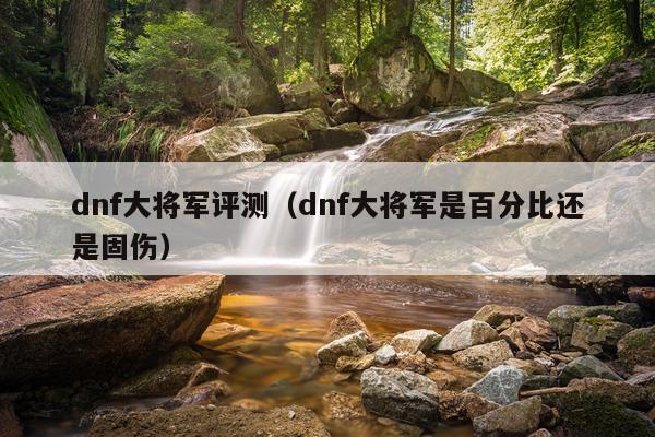 dnf大将军评测（dnf大将军是百分比还是固伤）