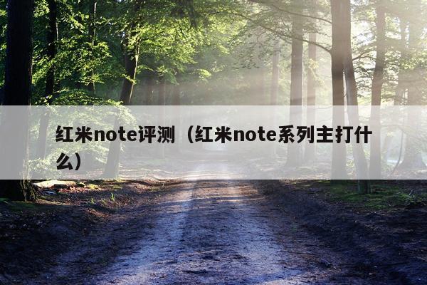 红米note评测（红米note系列主打什么）