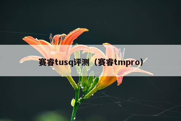 赛睿tusq评测（赛睿tmpro）