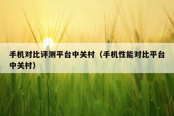 手机对比评测平台中关村（手机性能对比平台中关村）