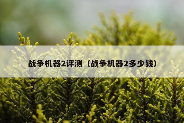 战争机器2评测（战争机器2多少钱）