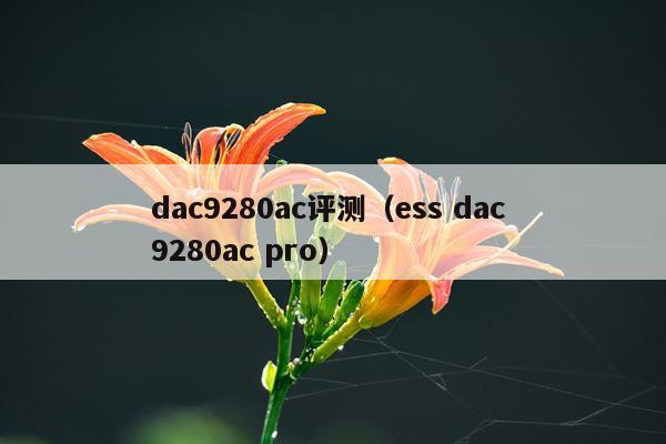 dac9280ac评测（ess dac 9280ac pro）