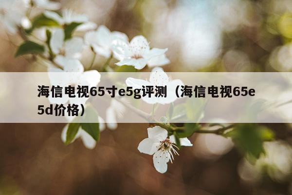 海信电视65寸e5g评测（海信电视65e5d价格）