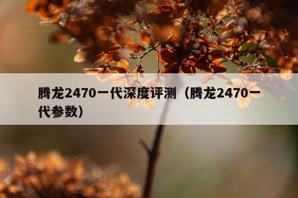 腾龙2470一代深度评测（腾龙2470一代参数）