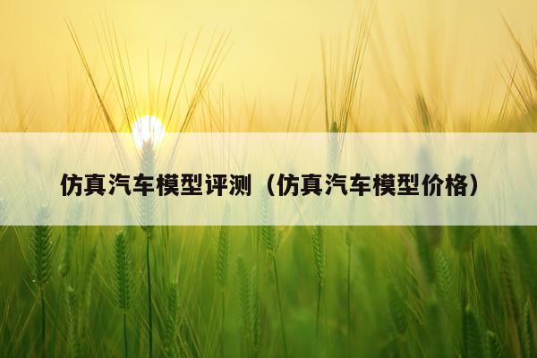 仿真汽车模型评测（仿真汽车模型价格）