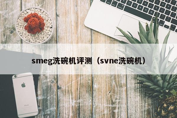 smeg洗碗机评测（svne洗碗机）