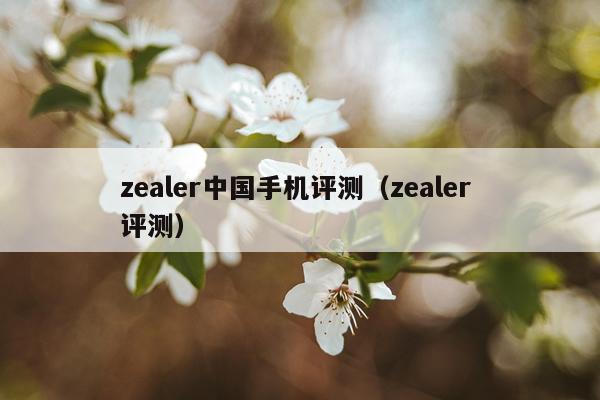 zealer中国手机评测（zealer 评测）