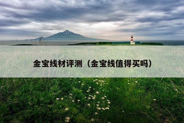 金宝线材评测（金宝线值得买吗）