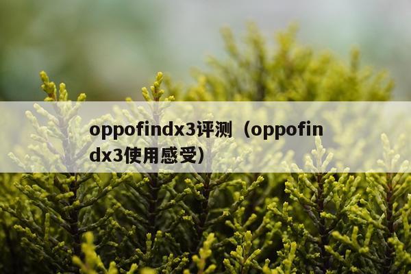 oppofindx3评测（oppofindx3使用感受）