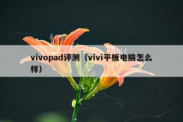 vivopad评测（vivi平板电脑怎么样）