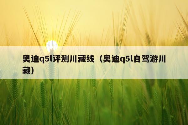 奥迪q5l评测川藏线（奥迪q5l自驾游川藏）