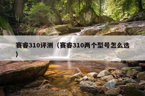 赛睿310评测（赛睿310两个型号怎么选）