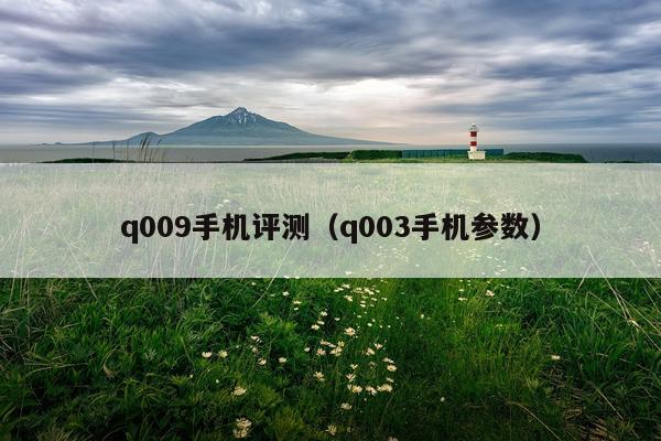 q009手机评测（q003手机参数）