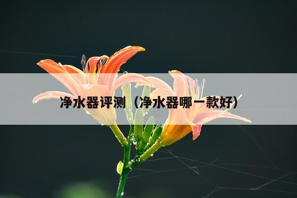 净水器评测（净水器哪一款好）