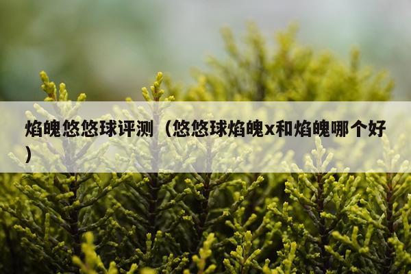 焰魄悠悠球评测（悠悠球焰魄x和焰魄哪个好）