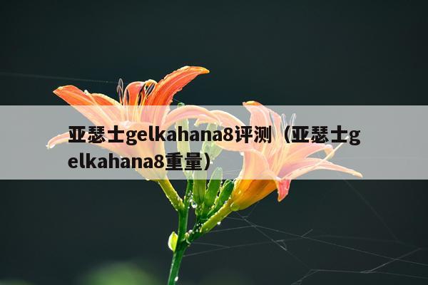 亚瑟士gelkahana8评测（亚瑟士gelkahana8重量）