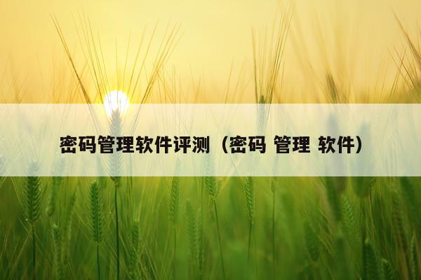 密码管理软件评测（密码 管理 软件）