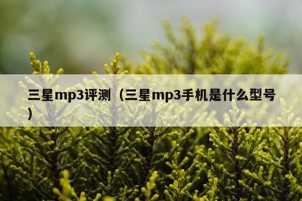 三星mp3评测（三星mp3手机是什么型号）