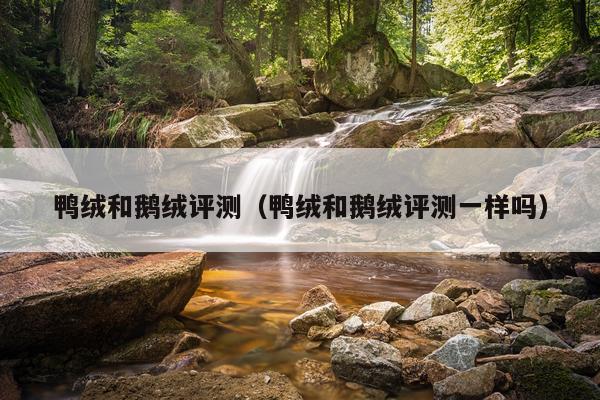 鸭绒和鹅绒评测（鸭绒和鹅绒评测一样吗）