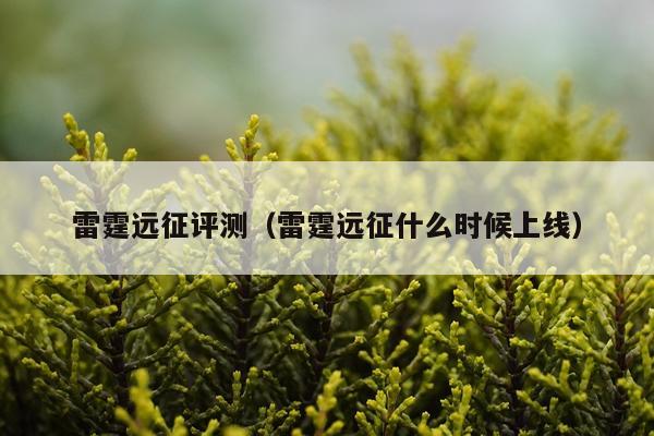雷霆远征评测（雷霆远征什么时候上线）