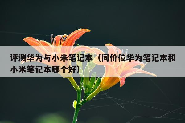 评测华为与小米笔记本（同价位华为笔记本和小米笔记本哪个好）