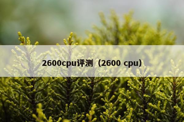 2600cpu评测（2600 cpu）