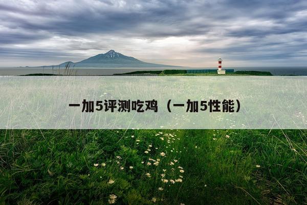 一加5评测吃鸡（一加5性能）