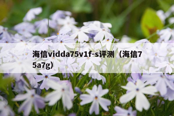 海信vidda75v1f-s评测（海信75a7g）