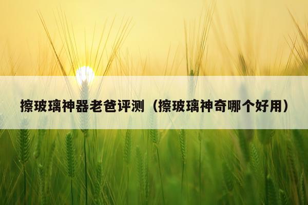 擦玻璃神器老爸评测（擦玻璃神奇哪个好用）