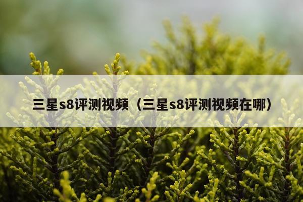 三星s8评测视频（三星s8评测视频在哪）