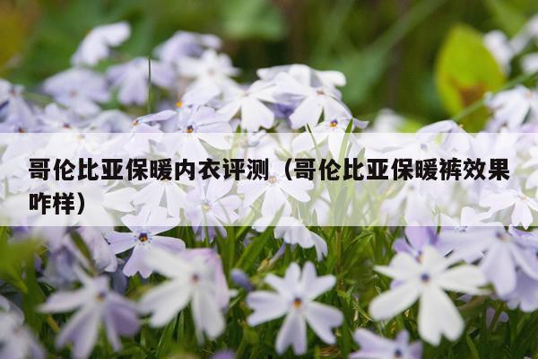 哥伦比亚保暖内衣评测（哥伦比亚保暖裤效果咋样）