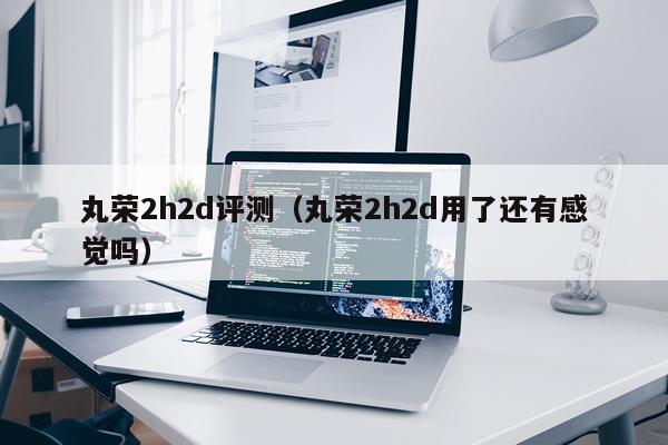 丸荣2h2d评测（丸荣2h2d用了还有感觉吗）