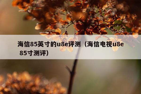 海信85英寸的u8e评测（海信电视u8e 85寸测评）