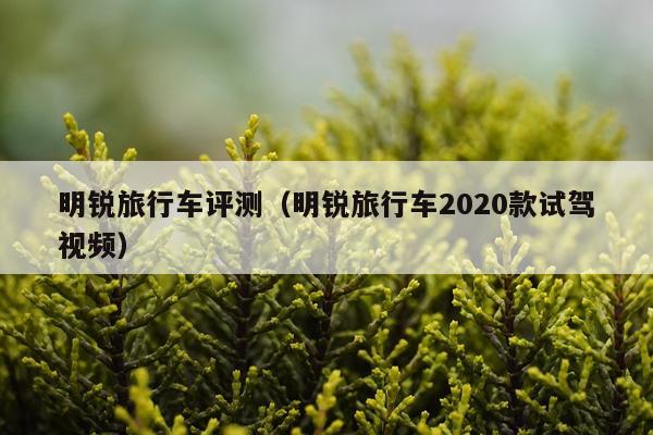 明锐旅行车评测（明锐旅行车2020款试驾视频）