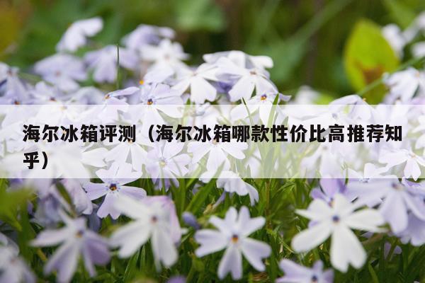 海尔冰箱评测（海尔冰箱哪款性价比高推荐知乎）