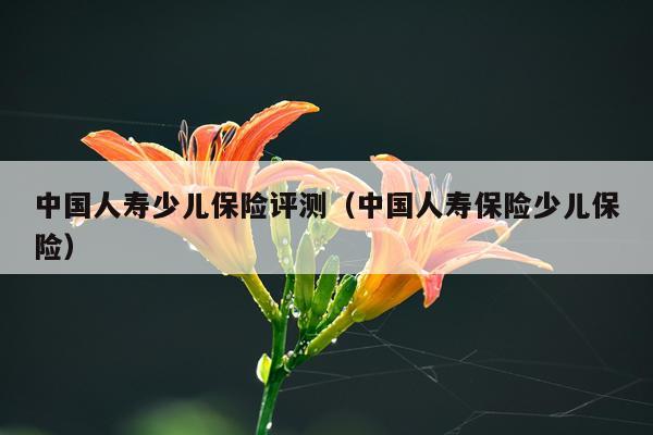 中国人寿少儿保险评测（中国人寿保险少儿保险）